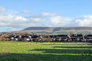 Fifty One and a Half